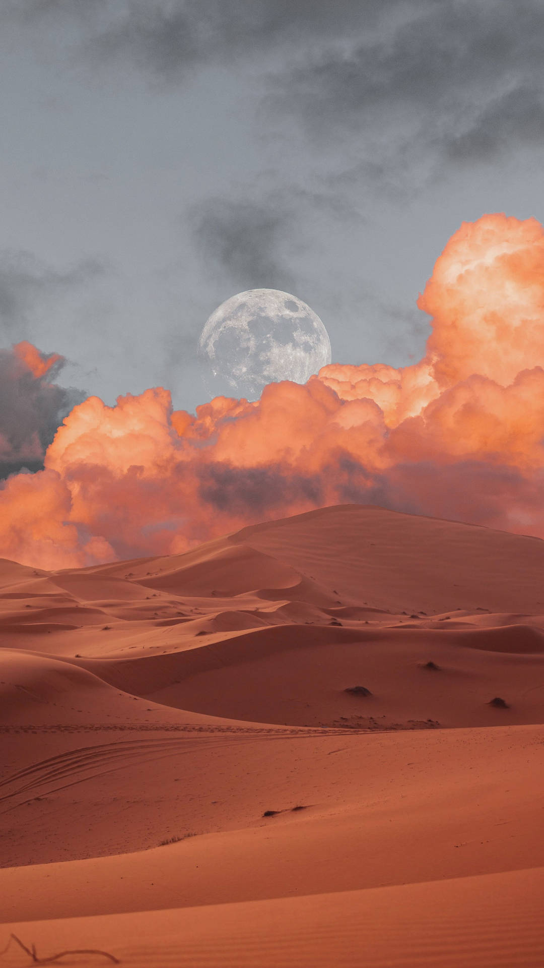 Luna Sand Dune Desert Photograph Wallpaper