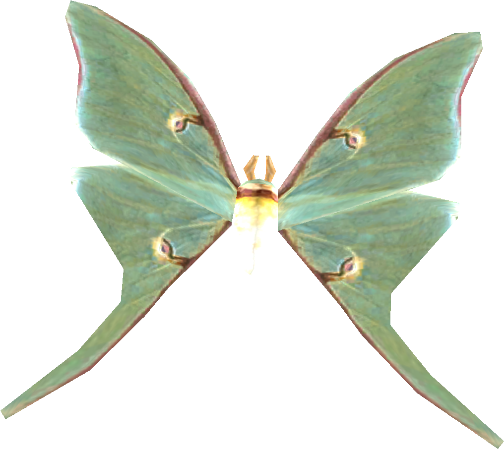 Luna_ Moth_ Transparent_ Background PNG