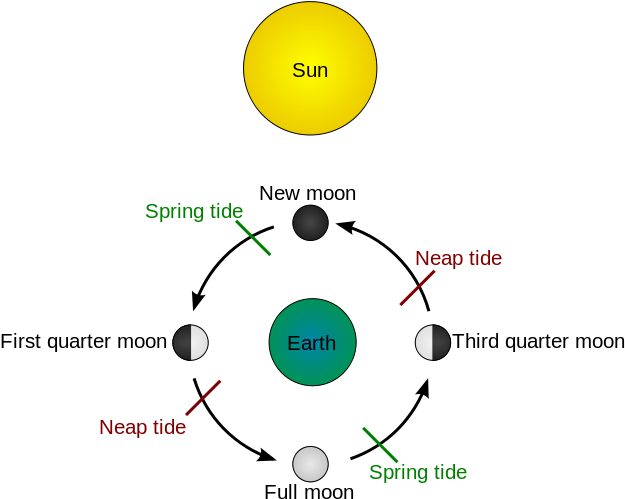 Lunar Phasesand Tides Cycle PNG