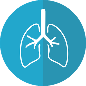 Lung Icon Graphic PNG