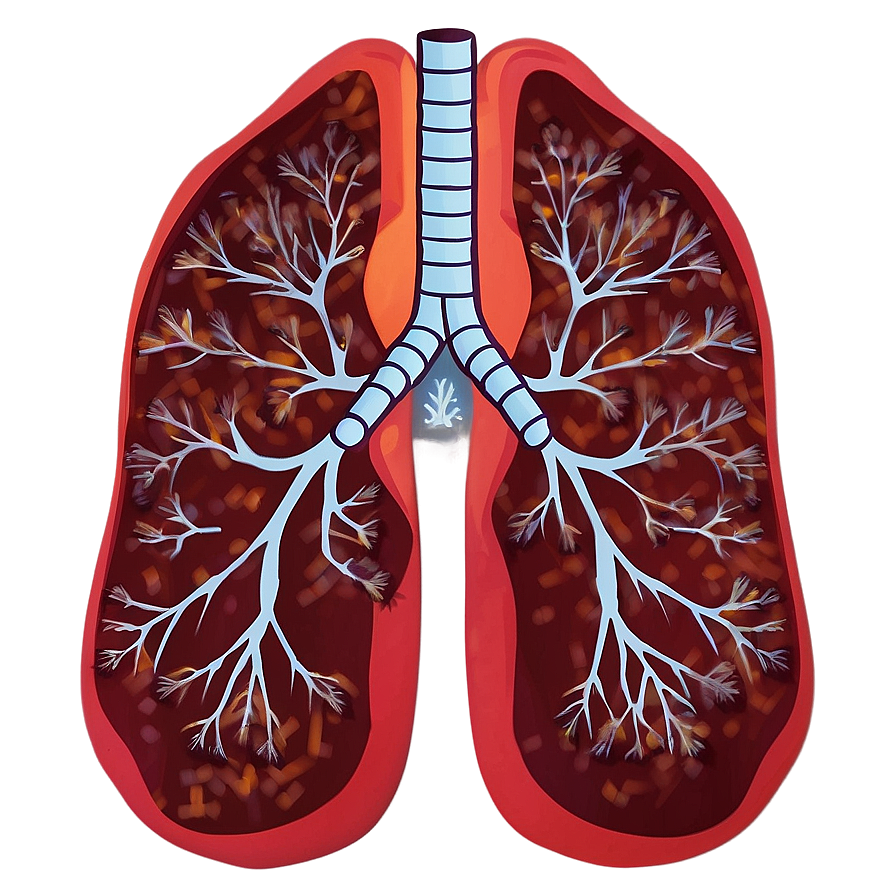 Lung Microbiome Visual Png 51 PNG