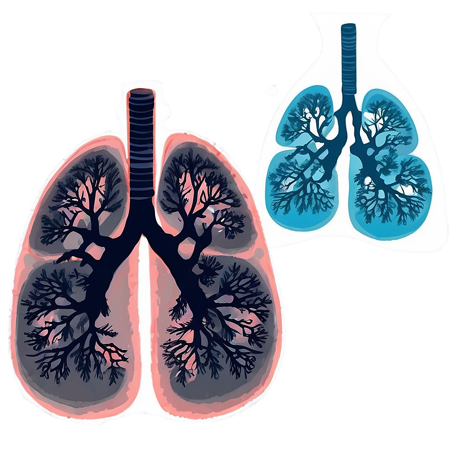 Download Lungs During Exercise Png Kdo82 | Wallpapers.com