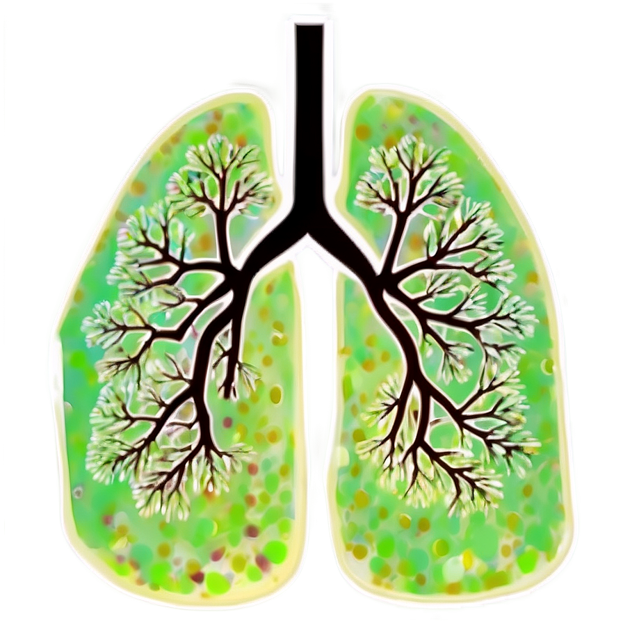 Download Lungs Environmental Impact Png 05232024 | Wallpapers.com