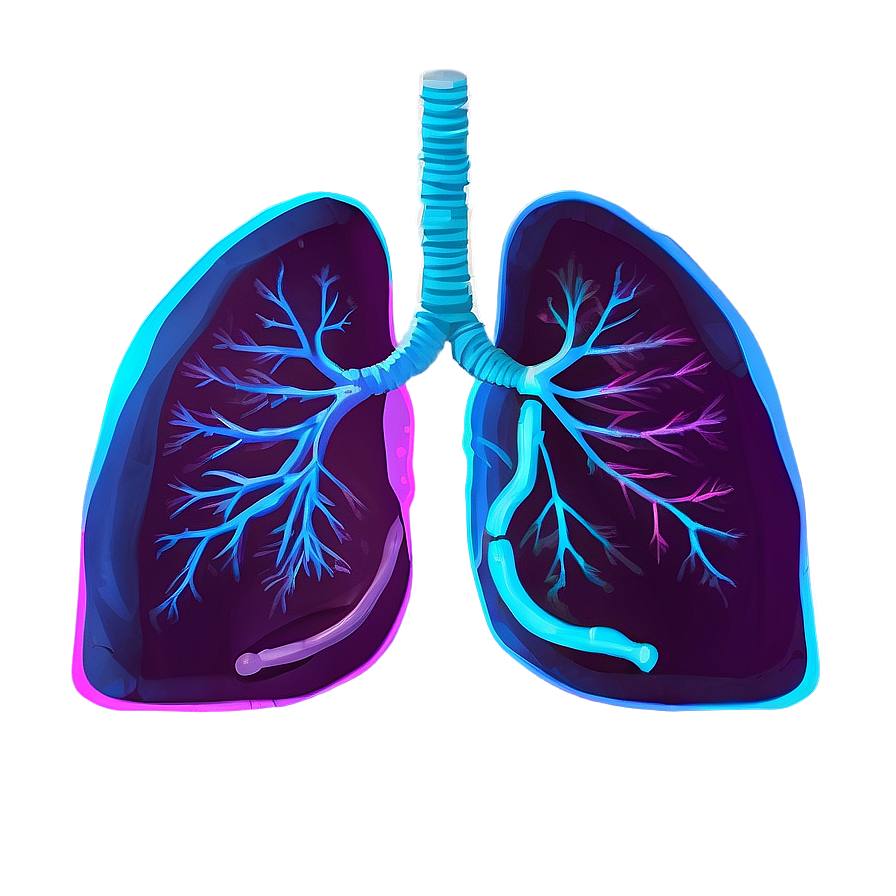 Download Lungs Healing Process Png Dqm43 | Wallpapers.com