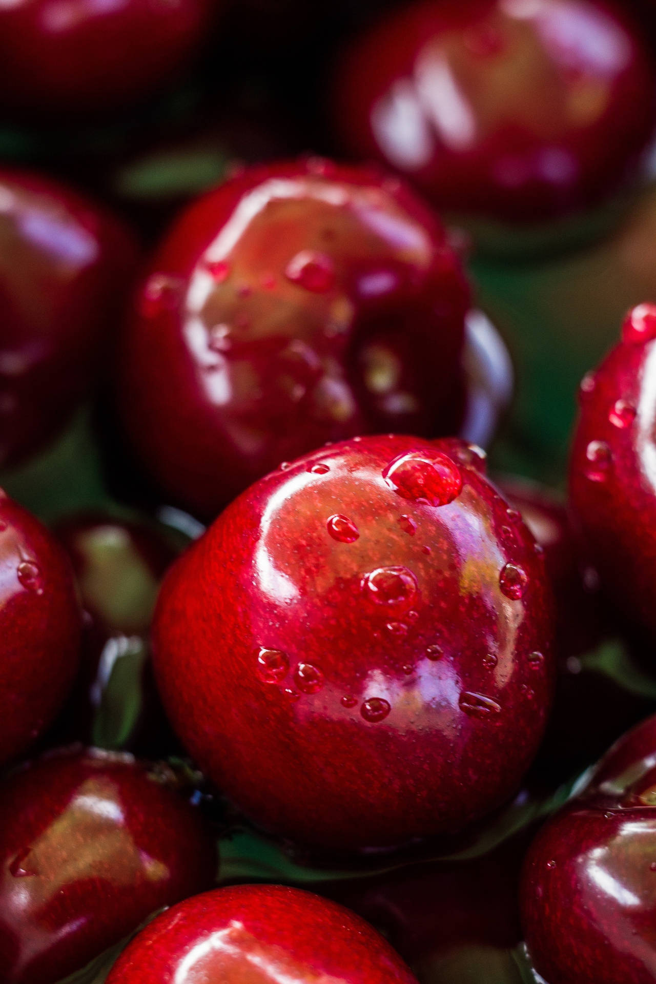 Luscious Cranberry Close-up Photo Wallpaper