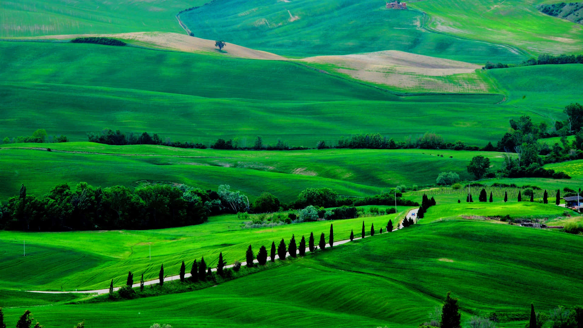 Luscious Greenery And Hills Around A Country Road Wallpaper