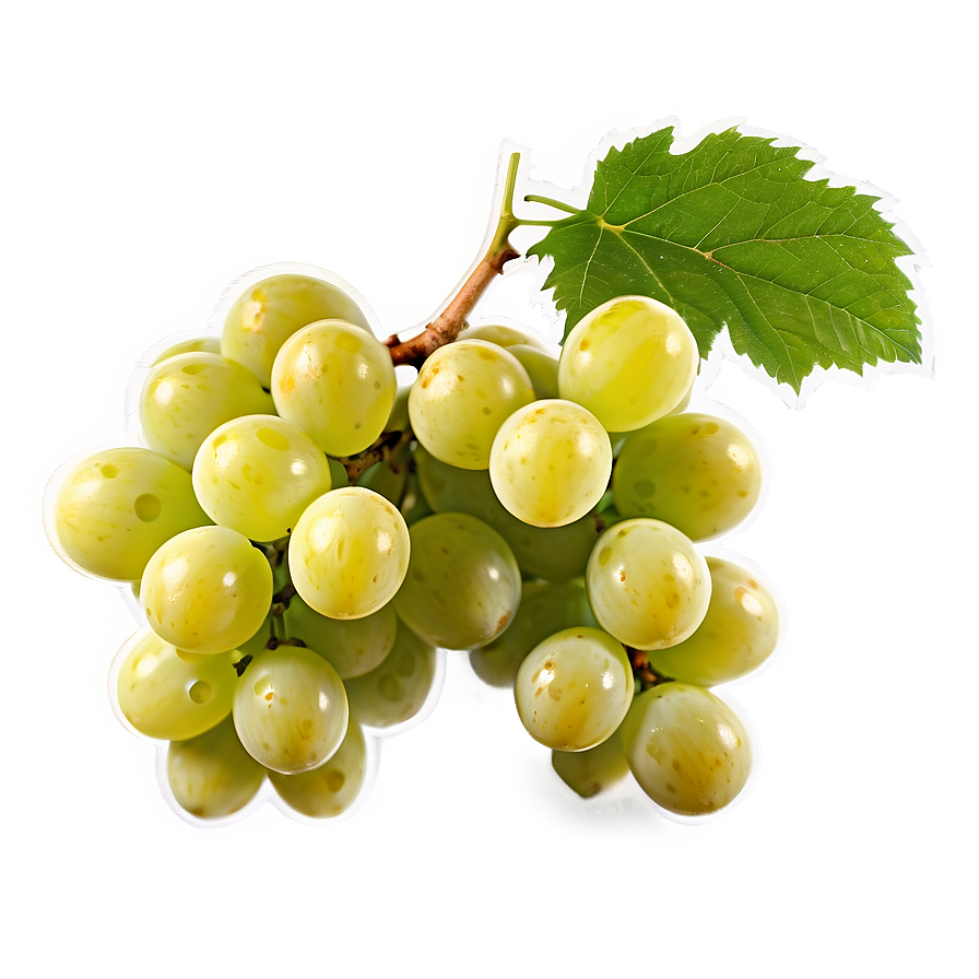 Download Luscious White Grape Png Lkr | Wallpapers.com