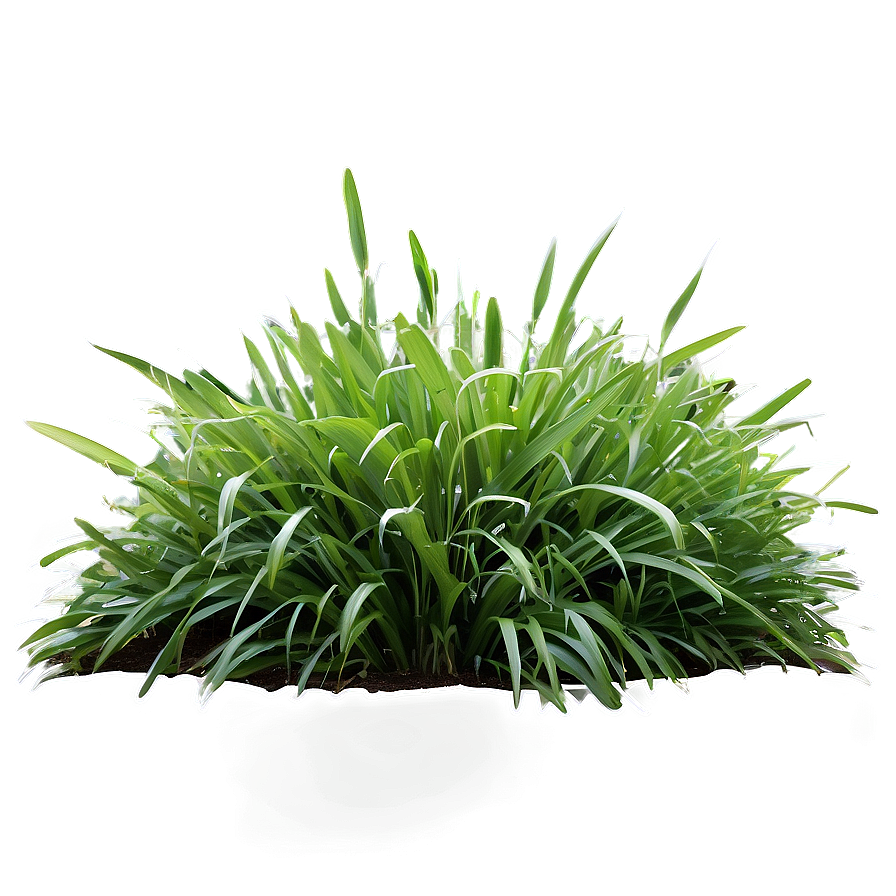 Lush Garden Grass Png 29 PNG