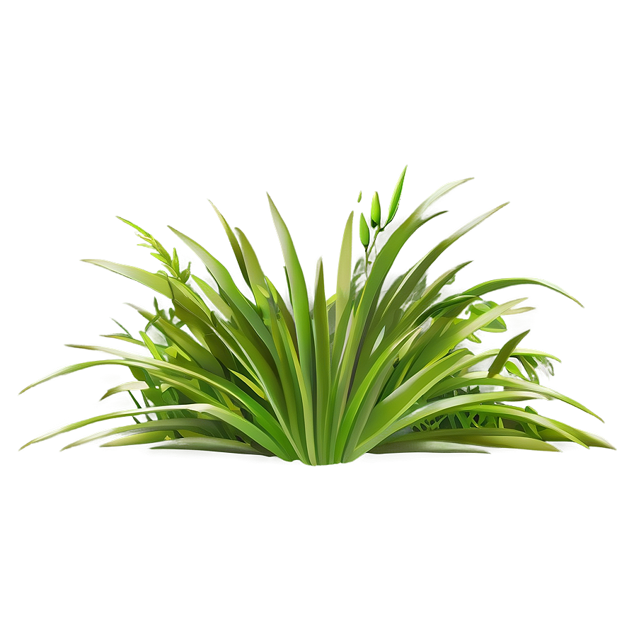 Lush Grass Clipart Png Srr71 PNG