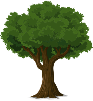 Lush Green Cartoon Tree PNG