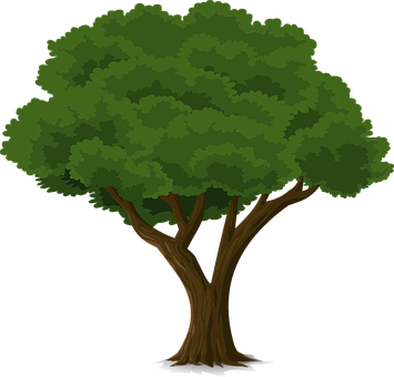 Lush Green Cartoon Tree PNG