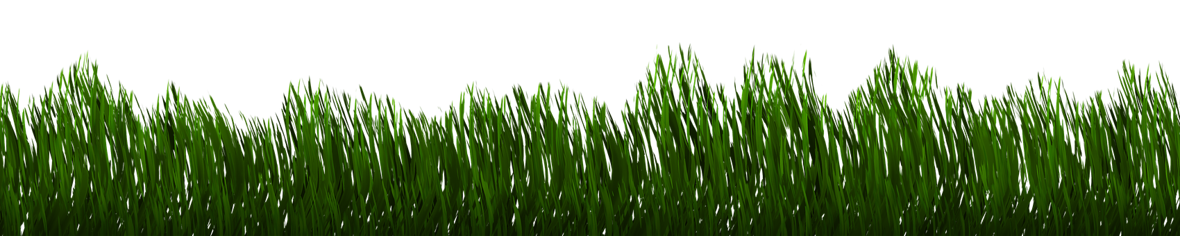 Lush Green Grass Edge PNG