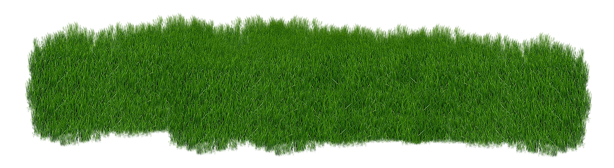 Lush Green Grass Texture Panorama PNG