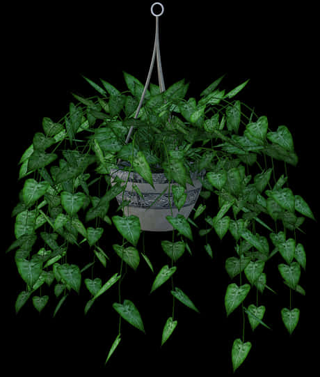 Lush Green Hanging Plant Black Background.jpg PNG