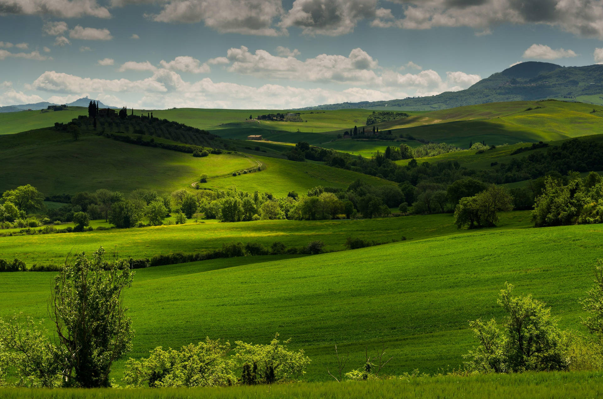 Lush Green Hills In Tuscany Wallpaper