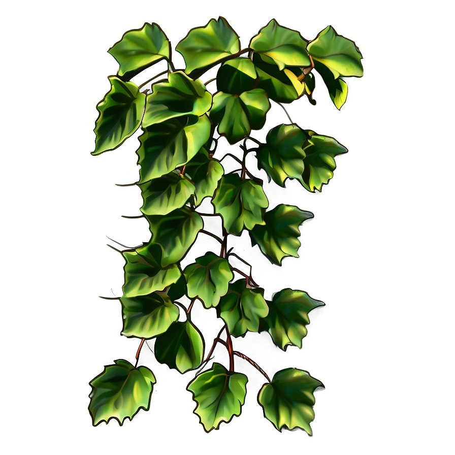 Lush Green Ivy Vine Graphic PNG