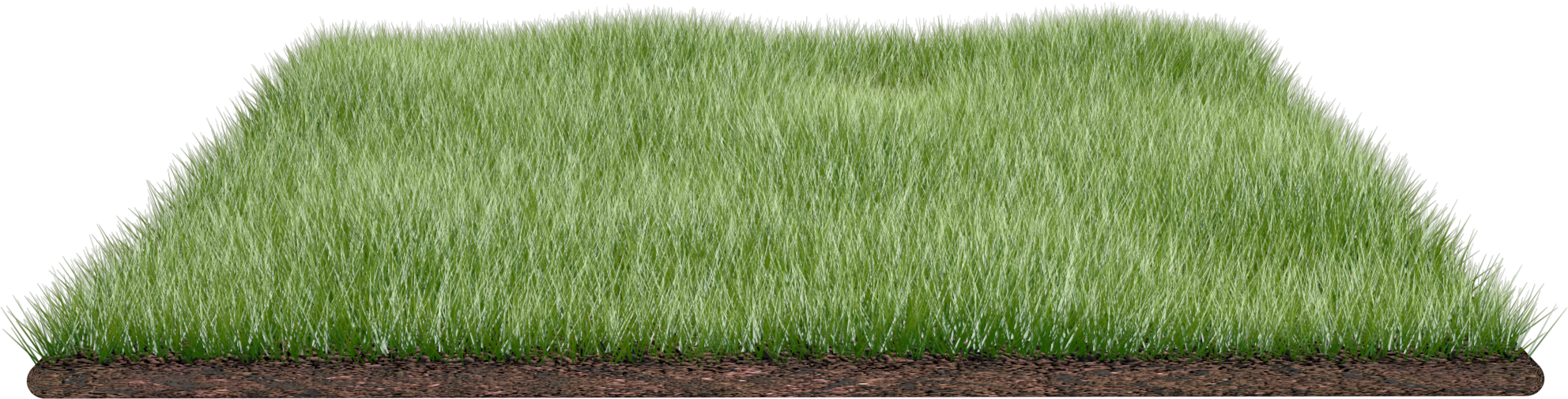 Lush Green Lawn Section PNG