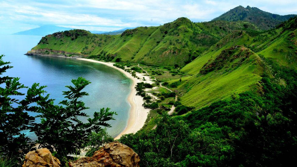 Lush grønne bjerg Timor Leste scene Wallpaper