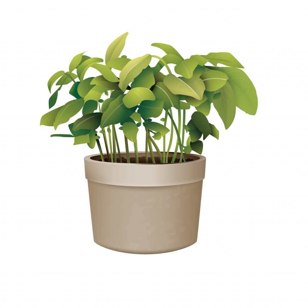 Lush Green Potted Plant Graphic PNG