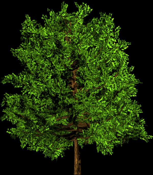 Lush Green Tree3 D Rendering PNG