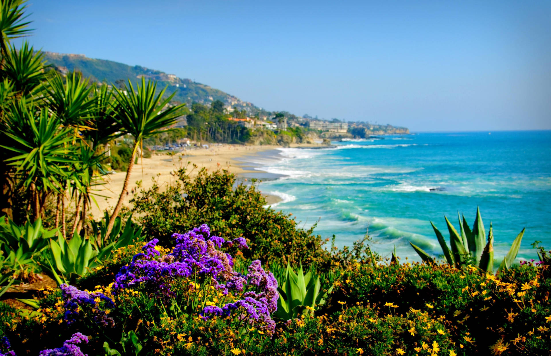• Verdant Junglen på Malibu Beach • Vibrant Lavender Poppies • Levende Lavendel Poppies • Fancy Floral Paisley • Fancy Floral Paisley Wallpaper