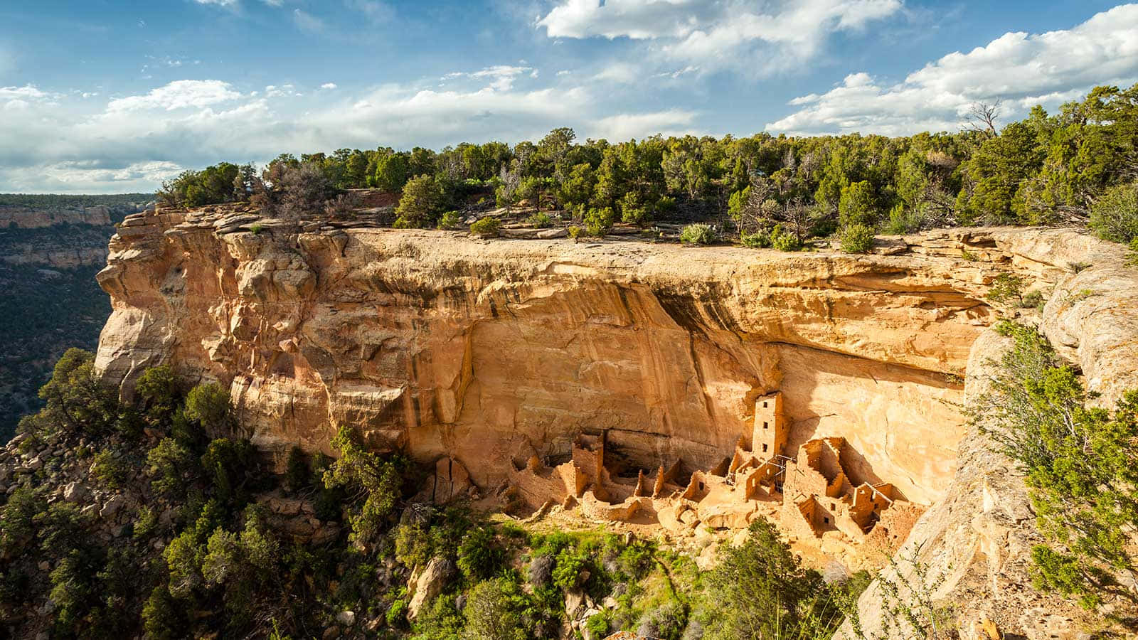 Lush Trees Cliff Palace Mesa Verde National Park Wallpaper