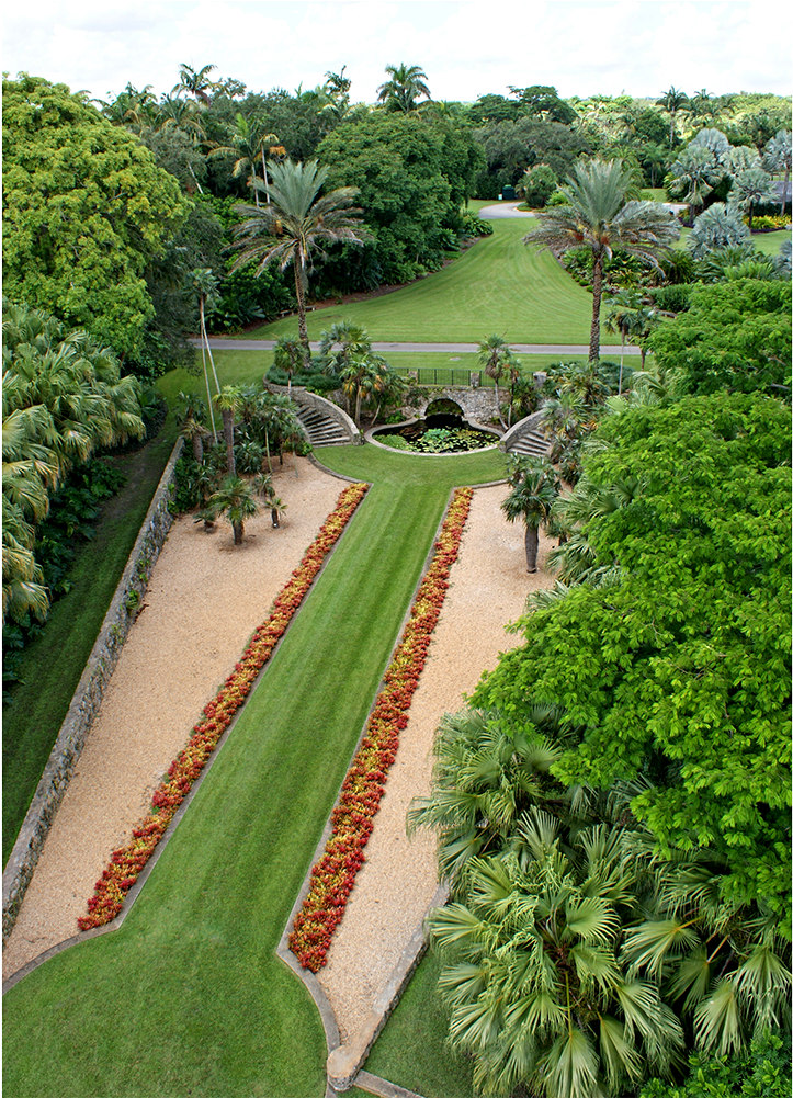 Lush_ Tropical_ Garden_ Pathway PNG
