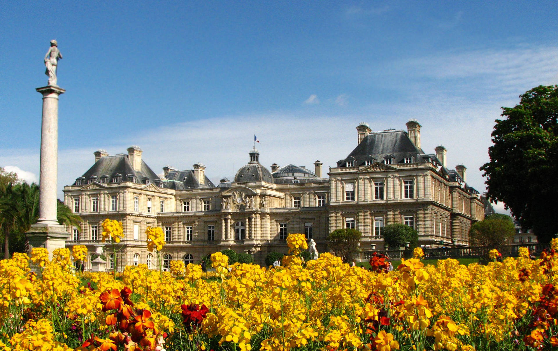 Luxembourg Palace And Yellow Flowers Wallpaper