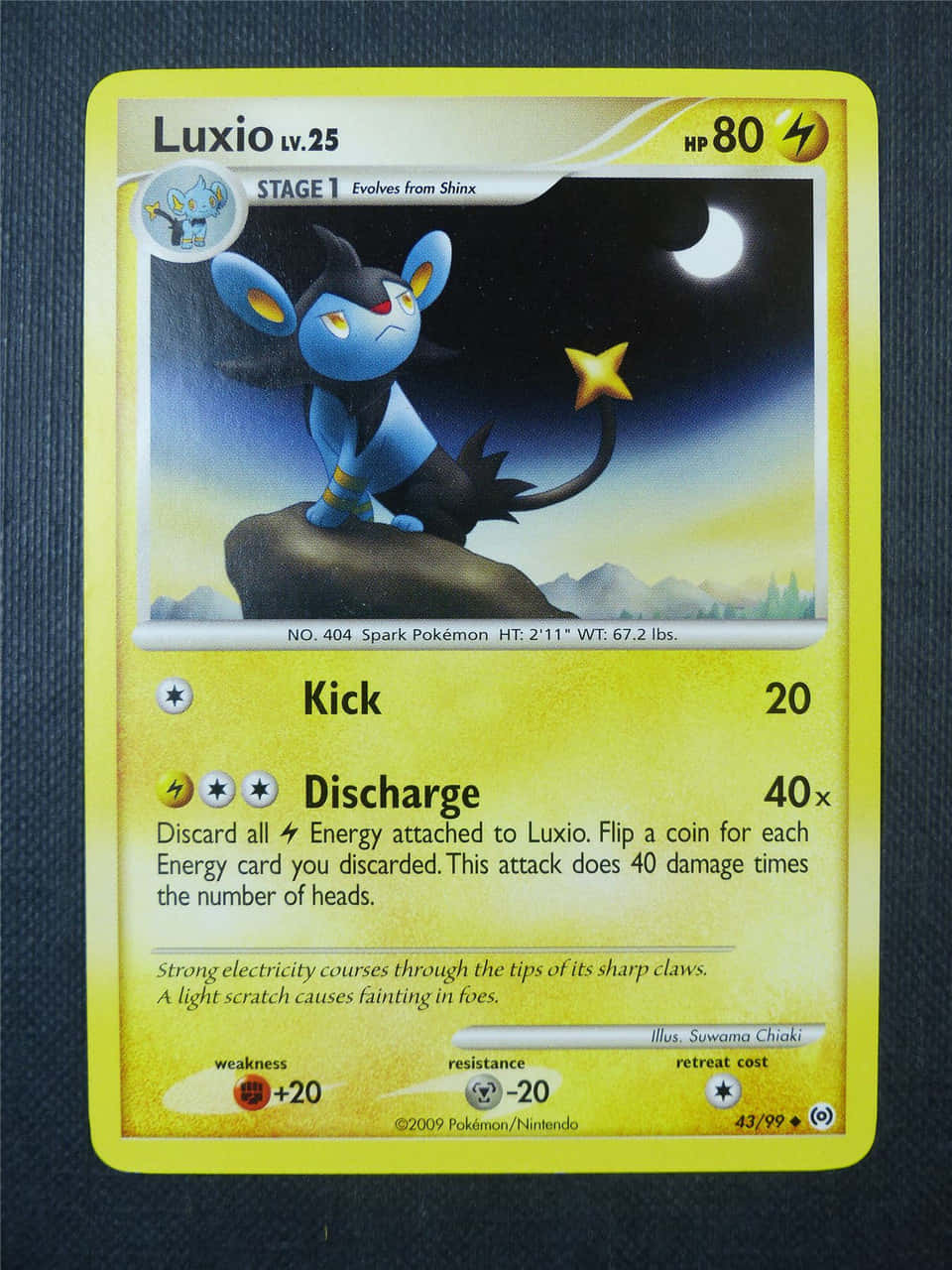 Luxio Pokemon Trading Card Blue Background Wallpaper