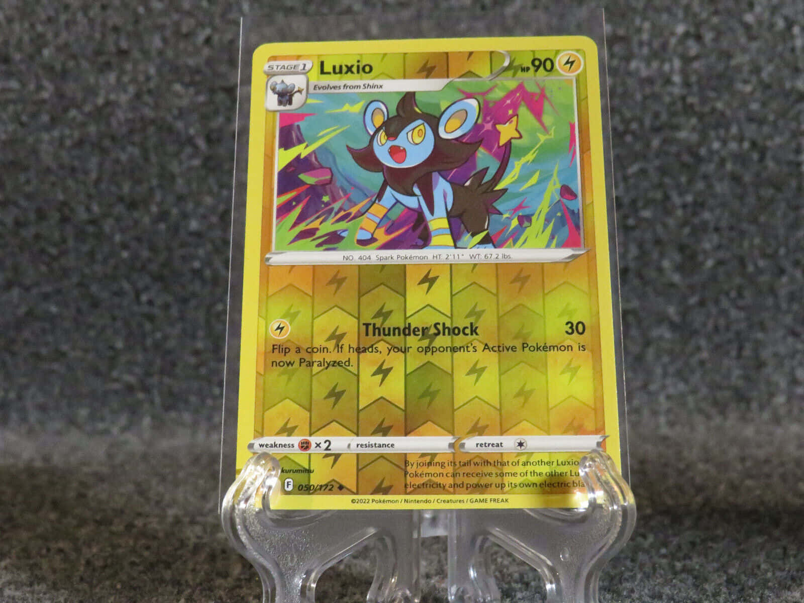 Luxio Pokemon Trading Card Displayed on Clear Stand Wallpaper