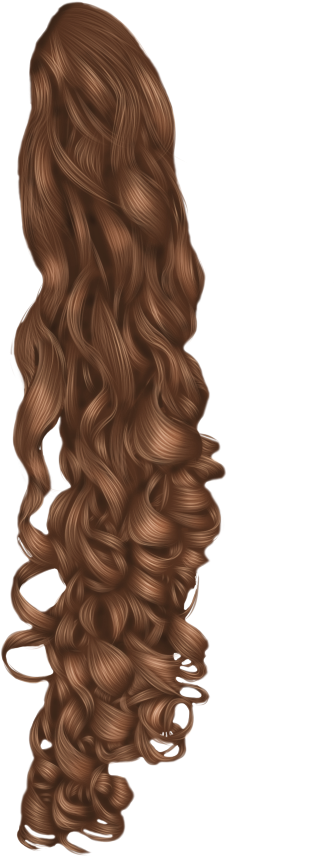 Luxurious Curly Brown Hair PNG