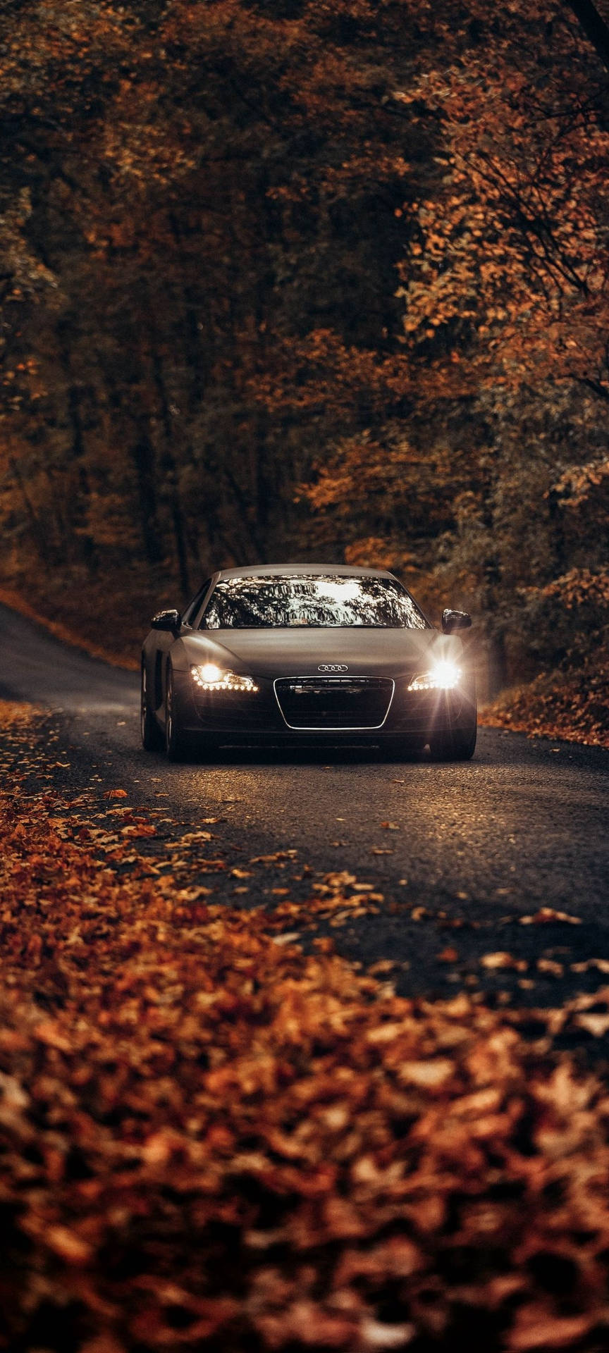 Luxurious Fall Aesthetic OnePlus 9R Wallpaper