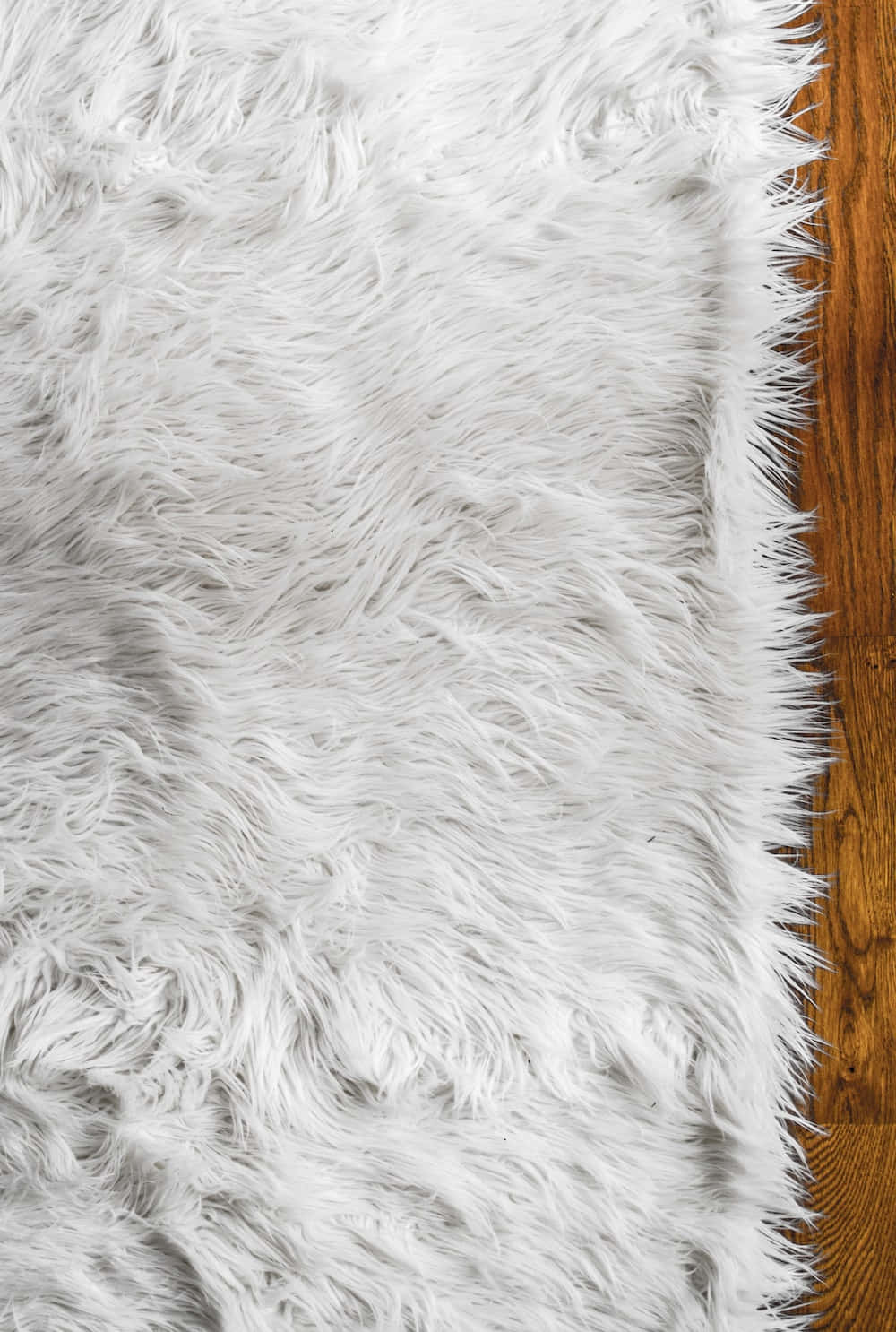 Luxurious White Fur Texture For Chic Interior Decor