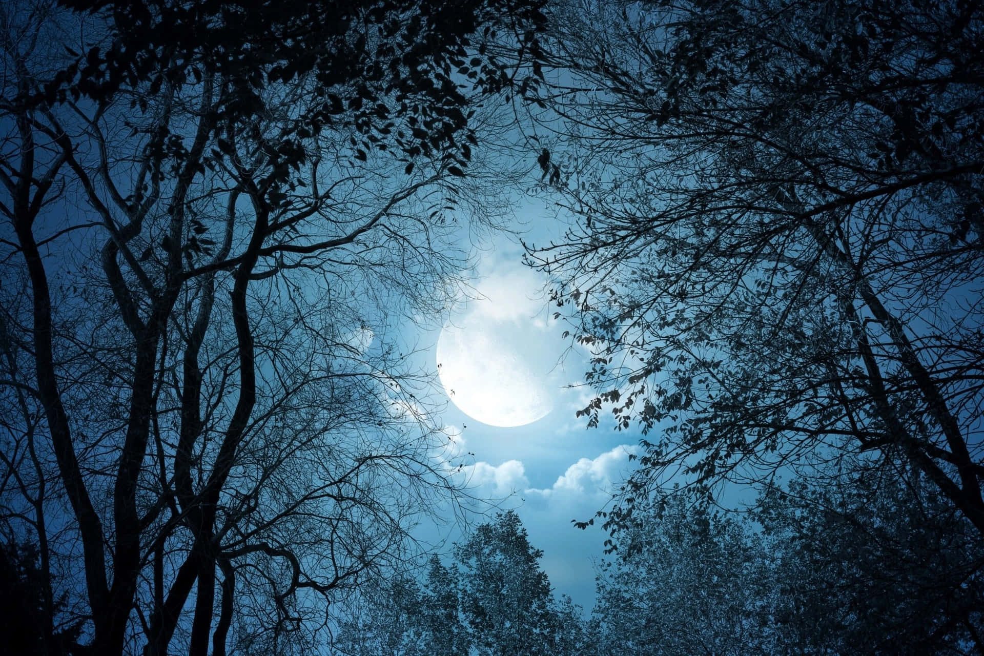 Luzde La Luna Sobre Un Lago Tranquilo Y Sereno.