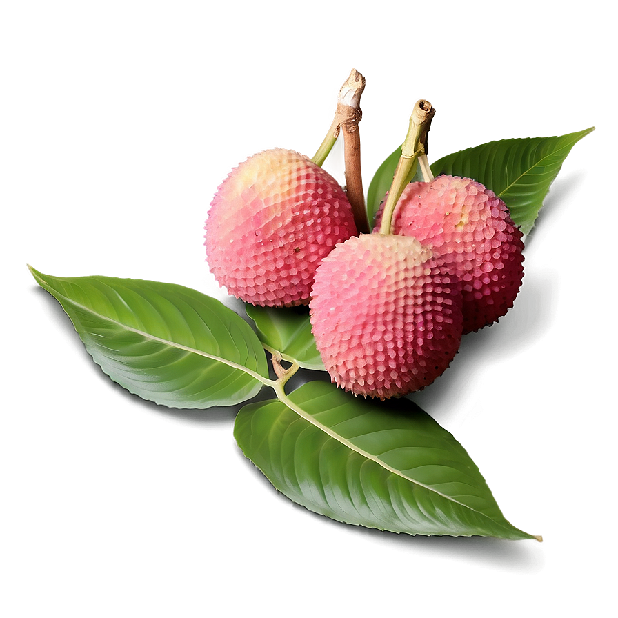 Lychee With Leaf Png Qua PNG