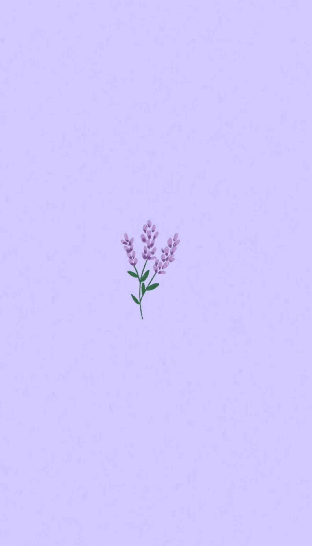 Lys Lilla Æstetisk Lavendel Blomst Wallpaper