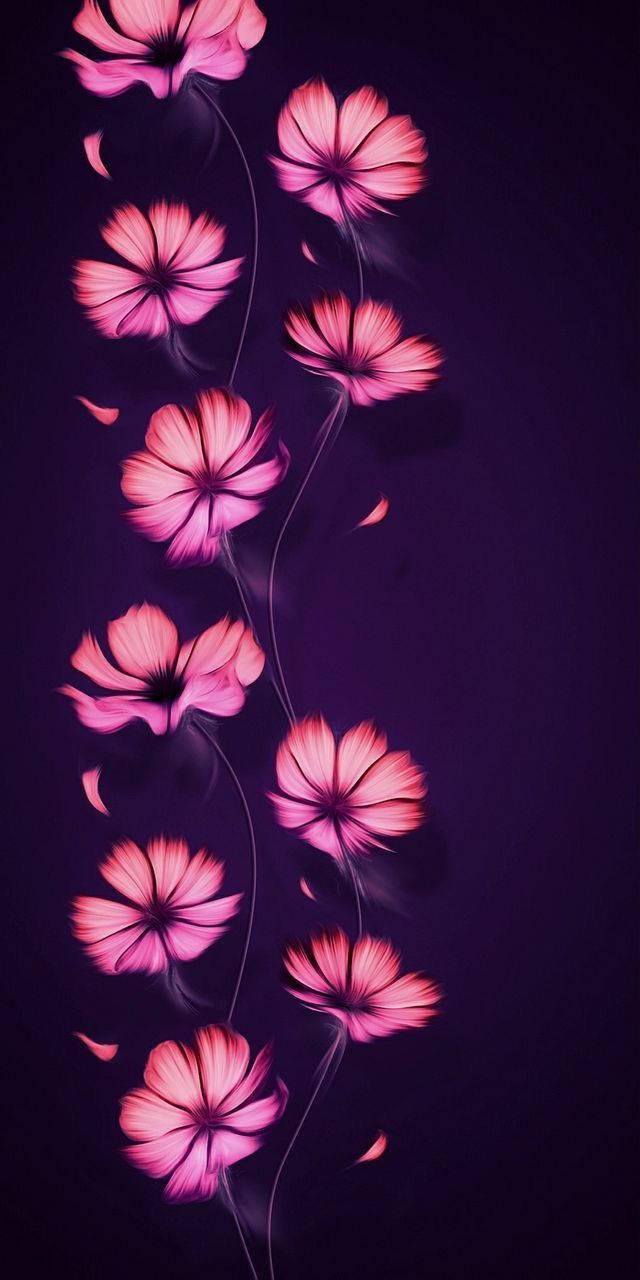 Lyserøde Blomster Smuk Telefon Wallpaper