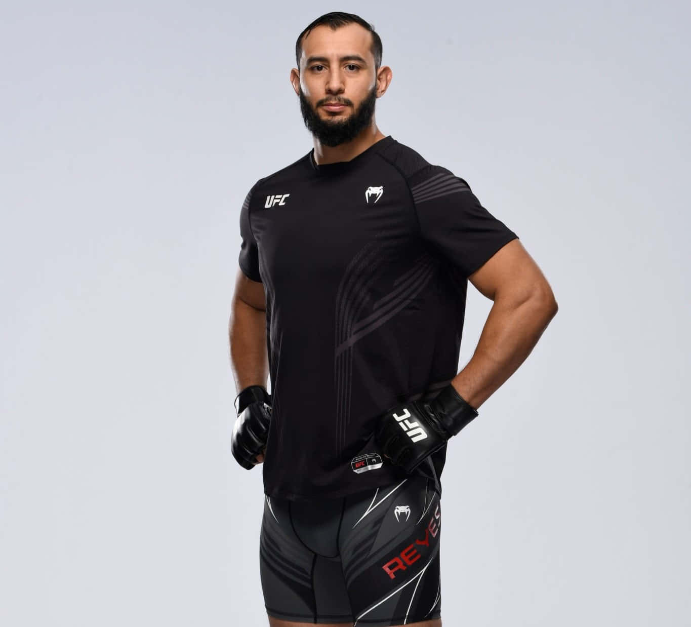 M M A Fighter Portrait Dominick Reyes Wallpaper