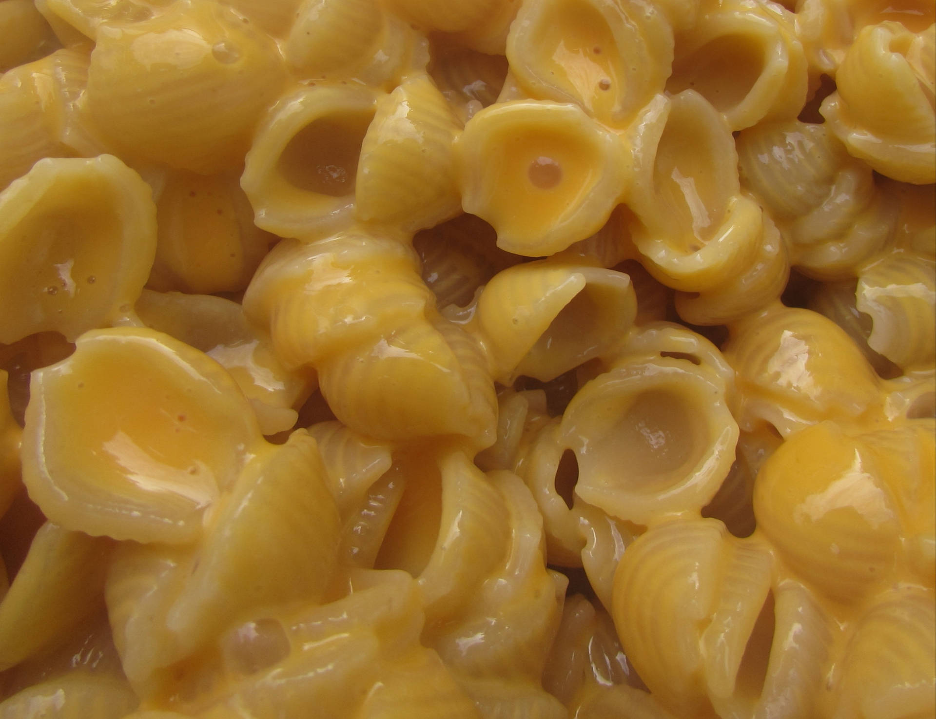 Mac And Cheese With Shell Pasta Wallpaper