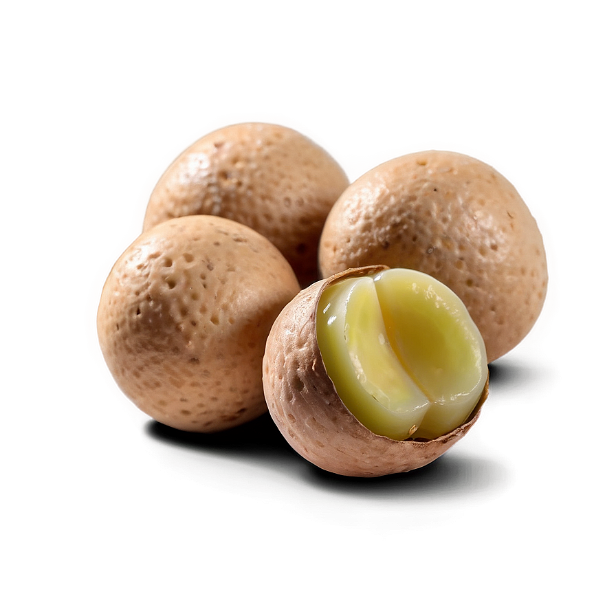 Macadamia Nut Png 06122024 PNG