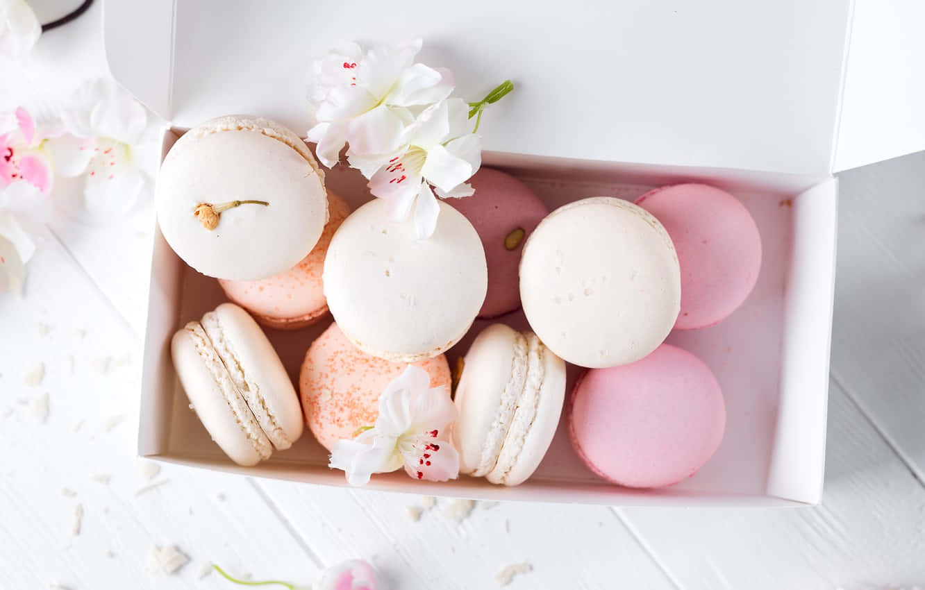 Macarons Pictures