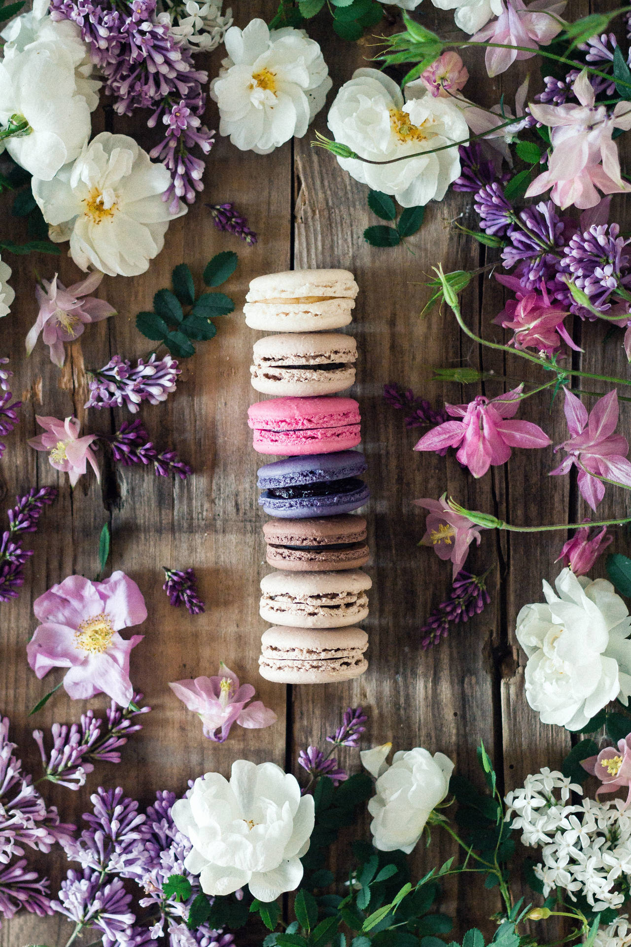 Macaroon Cookie Photography Wallpaper