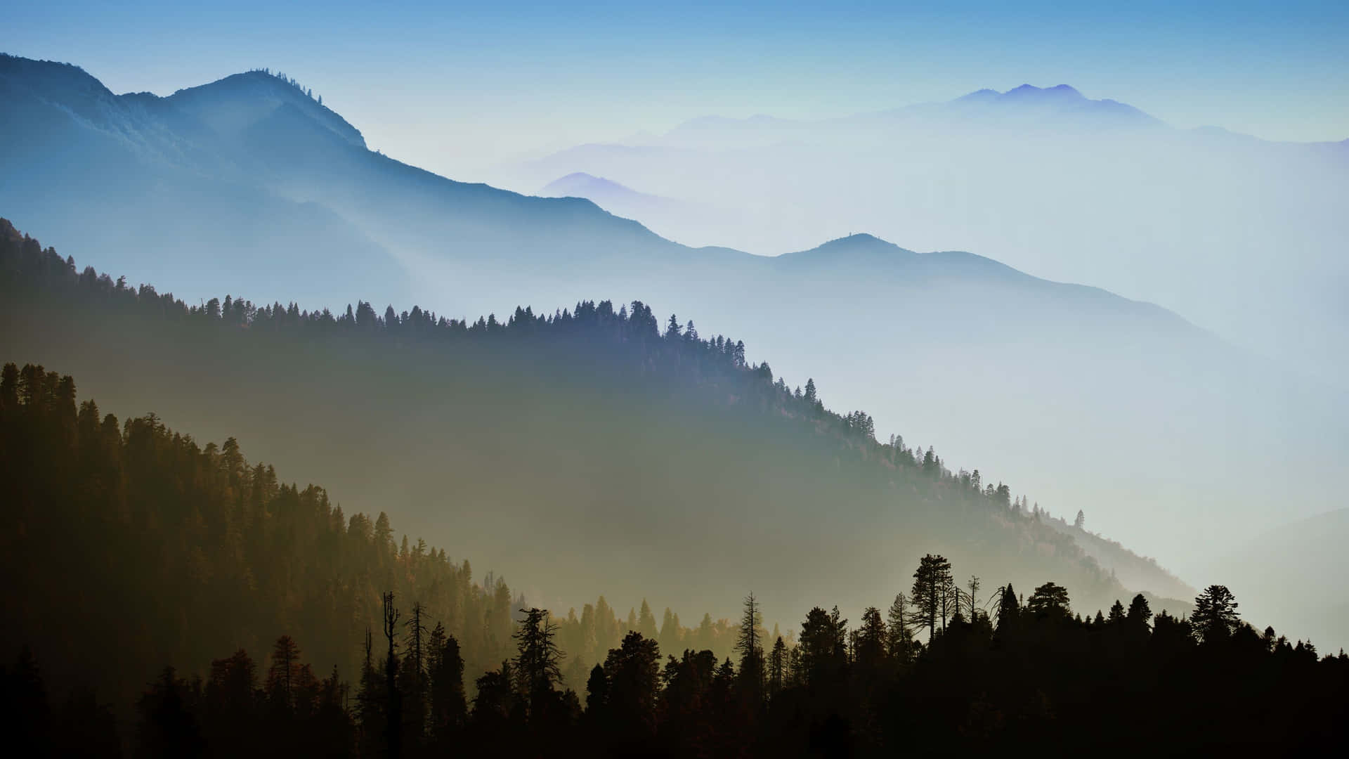 Bosquesmontañas California Macbook Por Defecto Fondo de pantalla