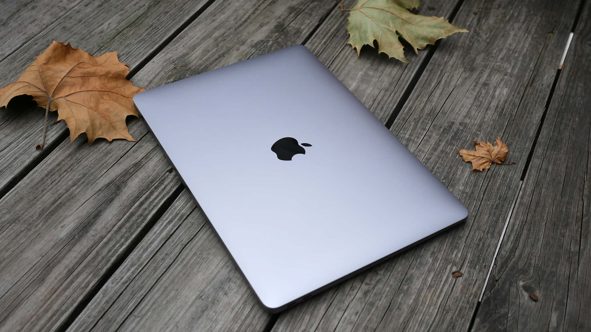 Apple Macbook laptop i hvid med tydelige teksturer