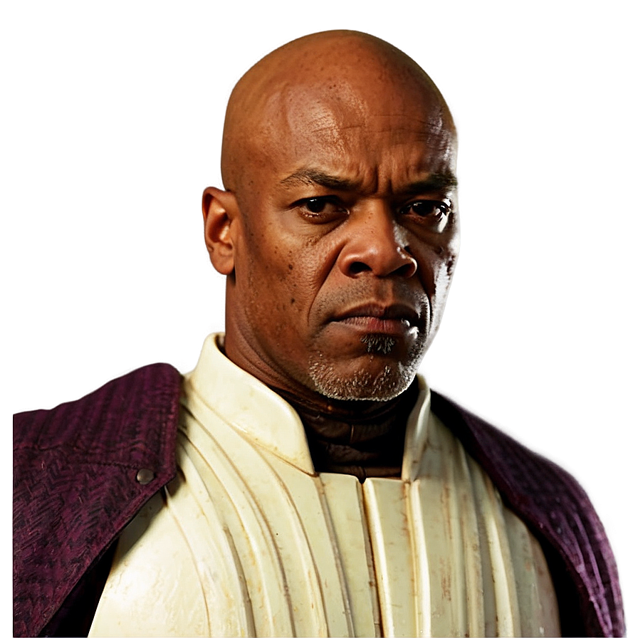 Mace Windu D PNG