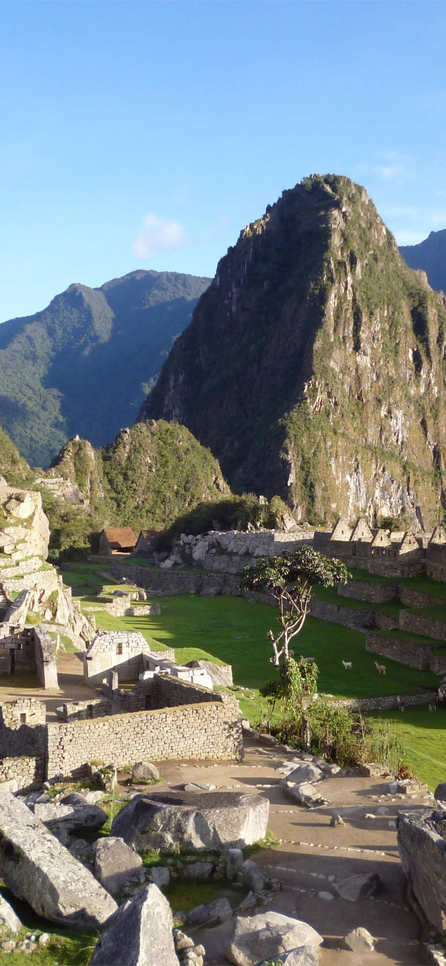 Machu Picchu Ruins Of Cusco Peru Wallpaper