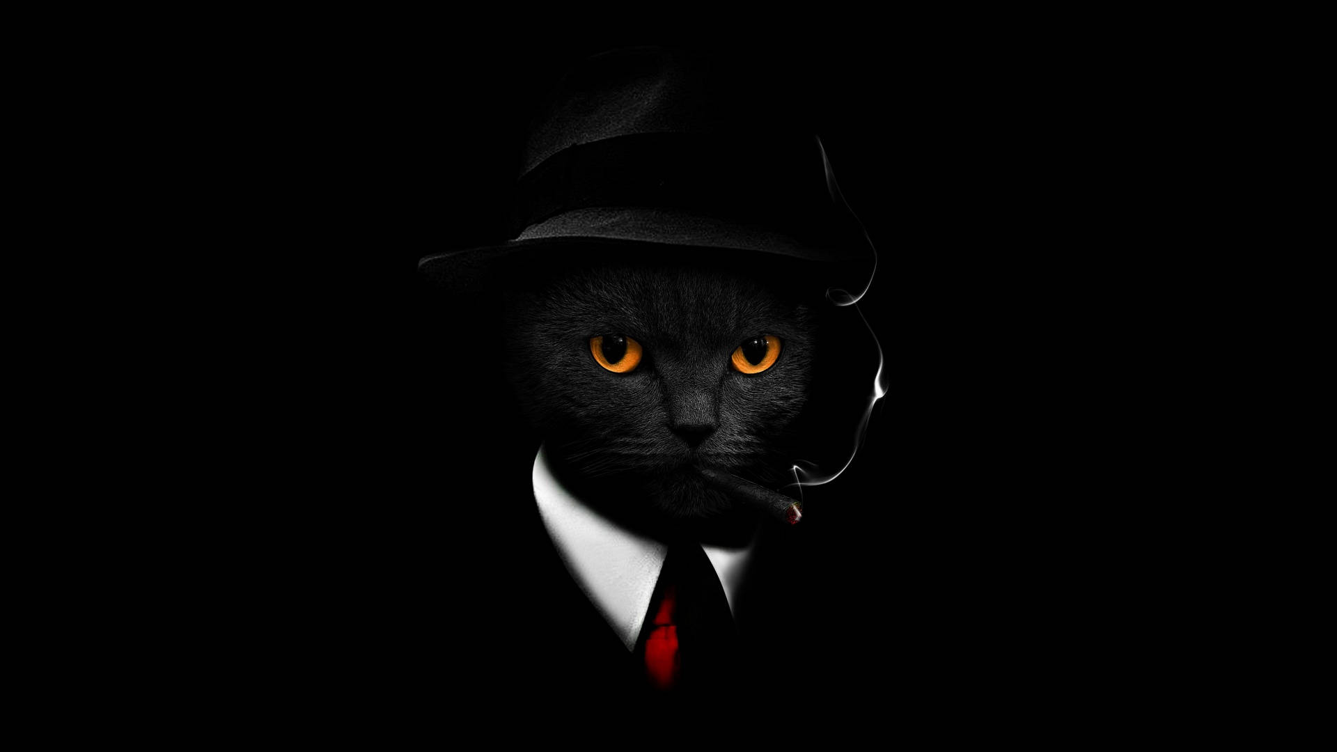 MacOS Mojave Cat In A Suit Wallpaper