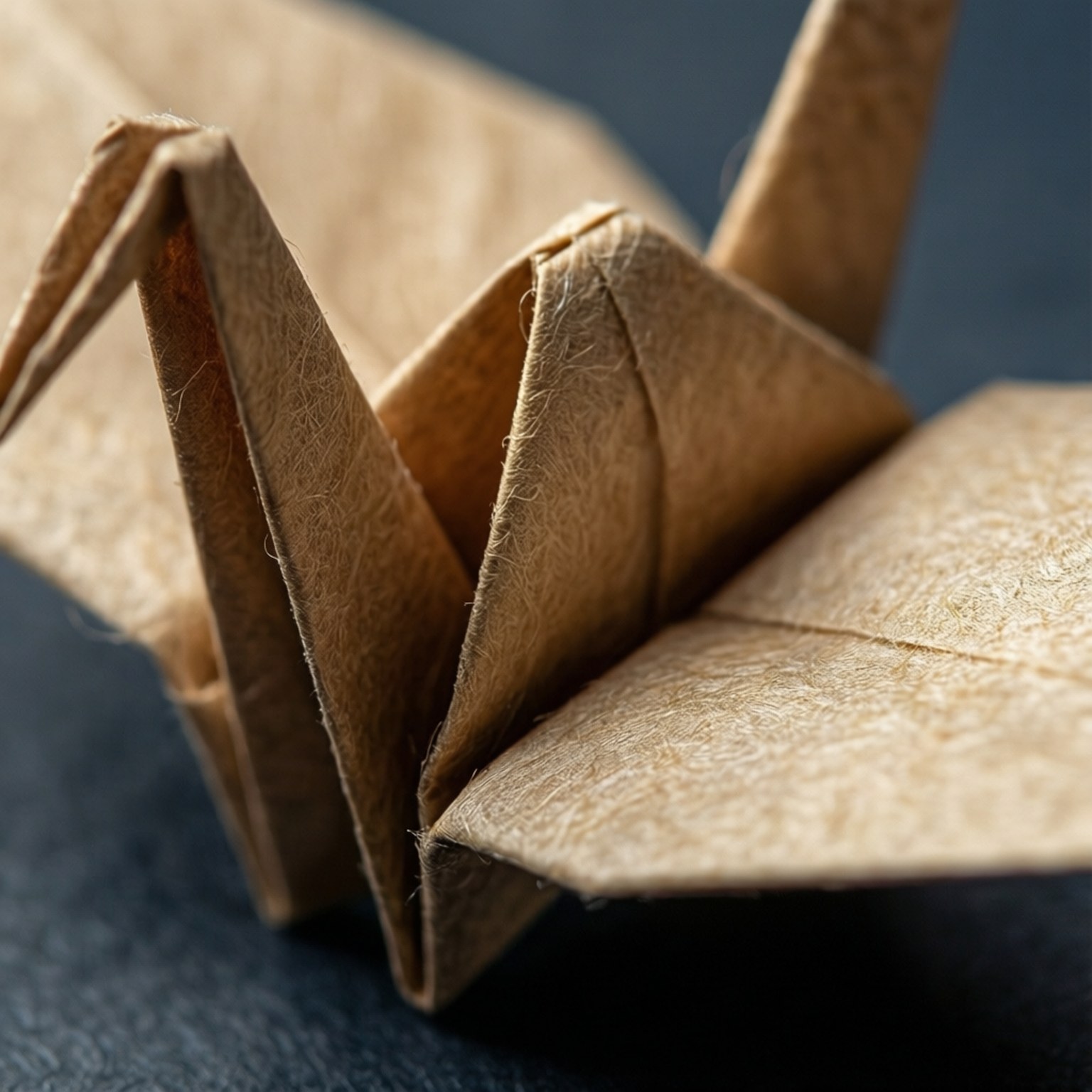 Macro Paper Texture Wallpaper