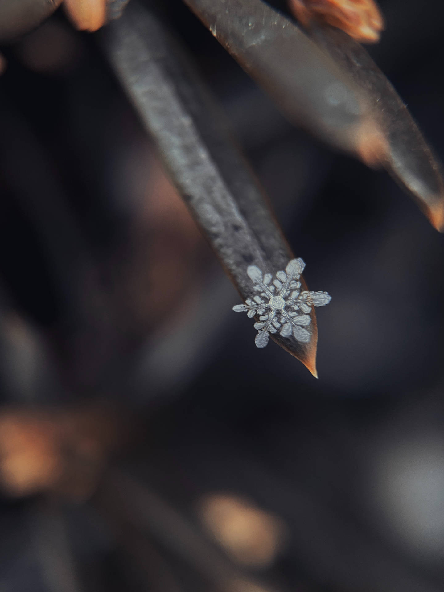 Macro Shot Of Tiny Snowflake