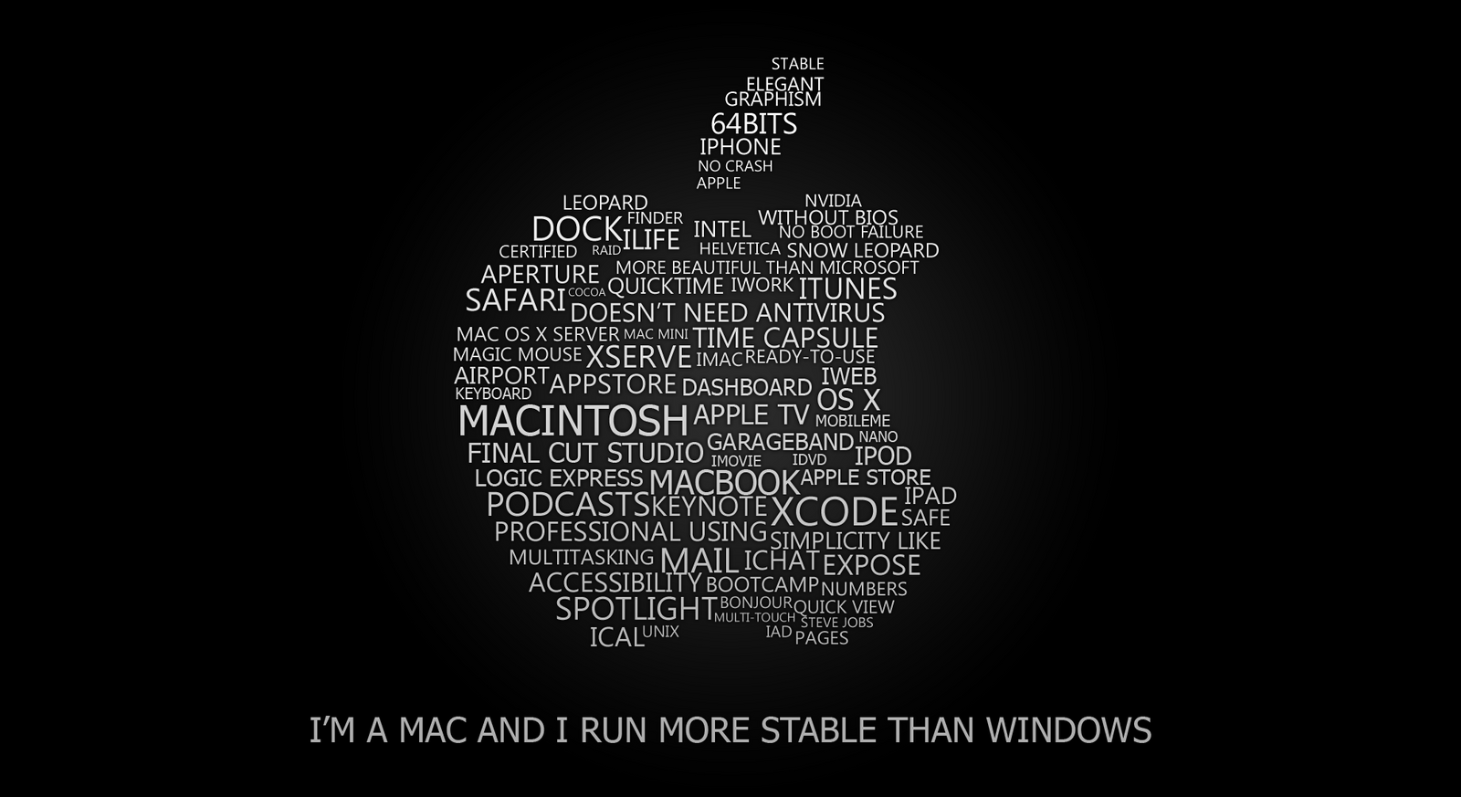 Macvs Windows Stability Comparison